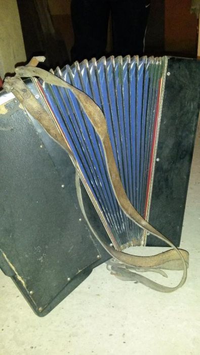 Акордеон Zugvögel