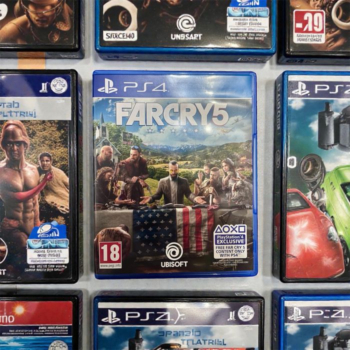 Far cry 5 joc playstation 4