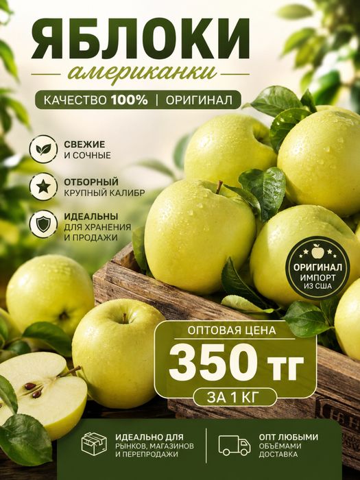 Яблоки американки по оптовой цене