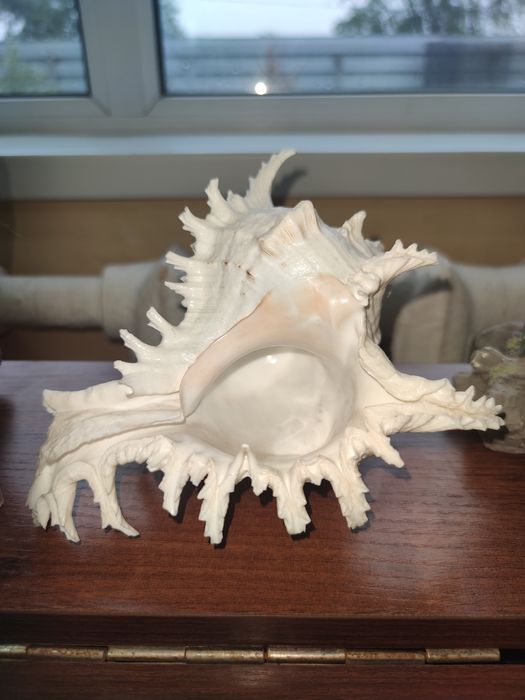 Продаю аквариумные принадлежности ,.