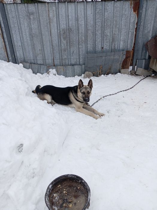 Продам Продам Продам