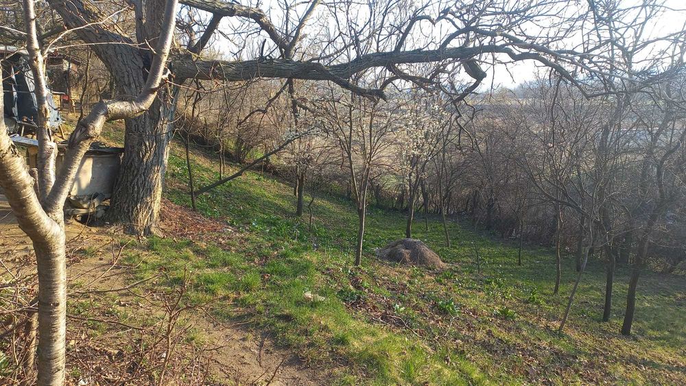 Teren intravilan și extravilan