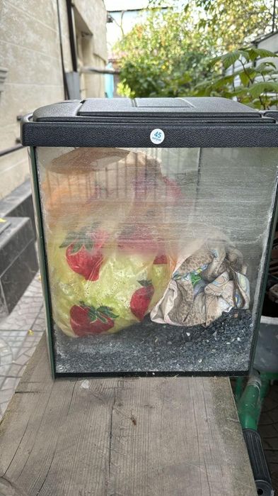 Продам аквариум .