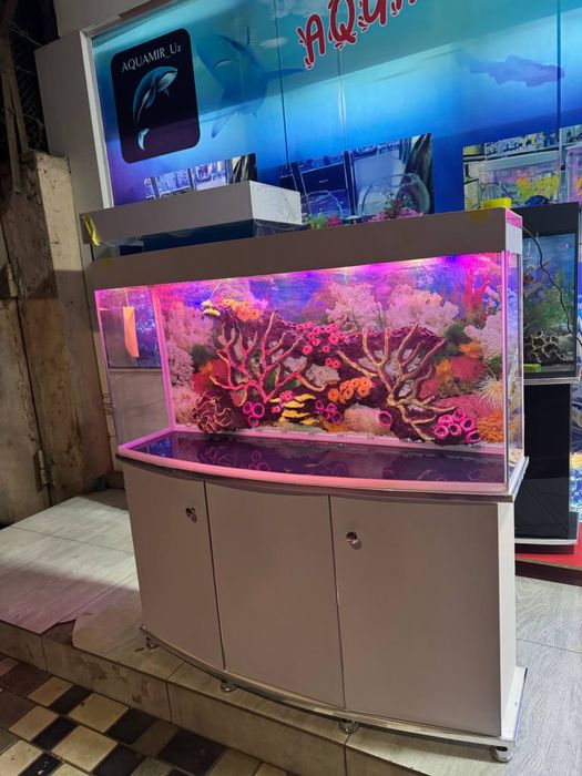 Akvarium 200-Litr yengi sifat a’lo