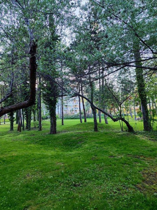 Апартамент под наем в Harmony Suites 11 Слънчев бряг