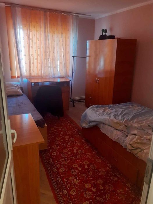 Primesc băieți in chirie (clasa a 9a)