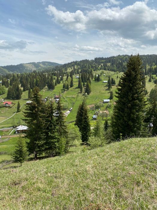 Teren de vanzare in zona de munte