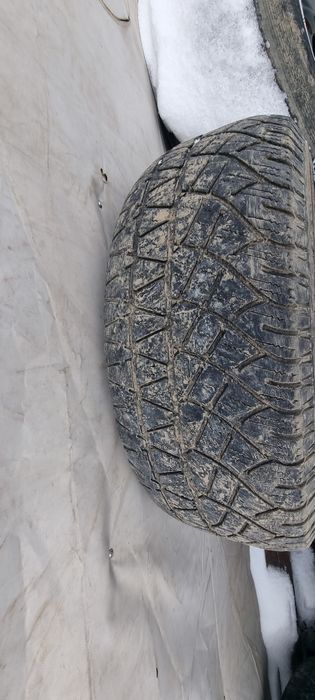 Шины Мишлен стояли на прадо