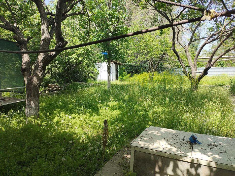 Дача.на таш море.