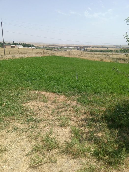 Участка сотилади 10соток