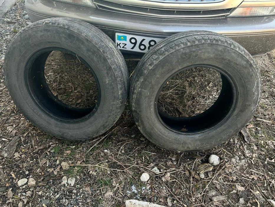 Шины Aoteli Ecosaver
