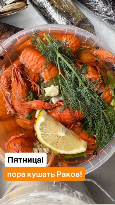 Раки для бани. Живые и готовим.