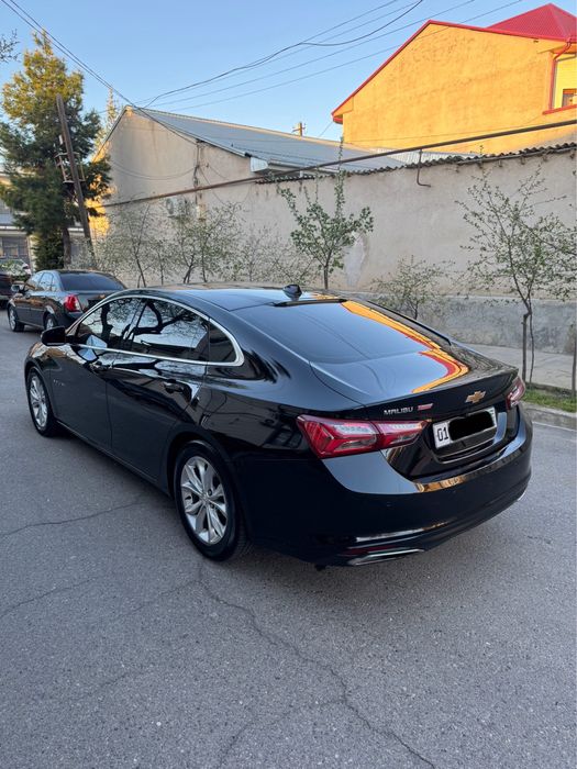 Malibu Premier 2020-21 Tozza