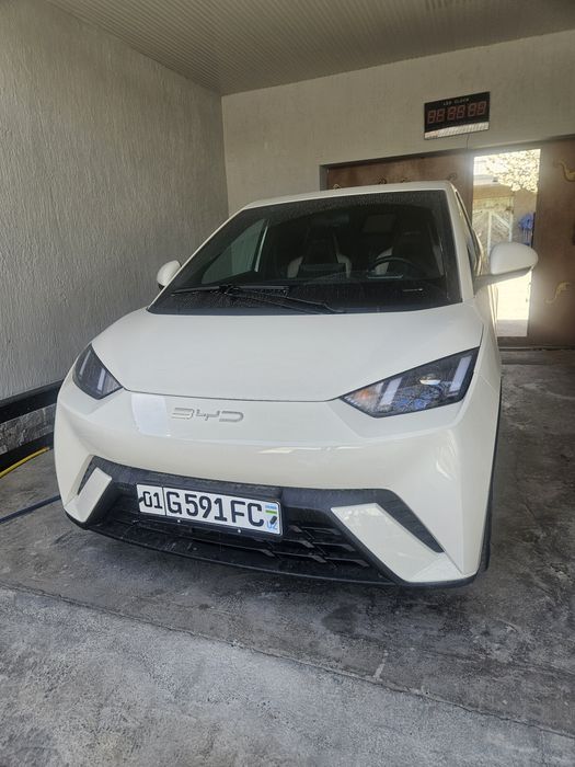 Sirchna Sotiladi Massla