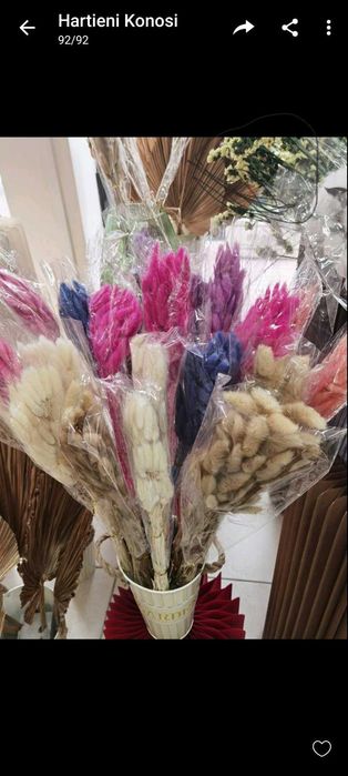 Сухи цветя - пампас, гипсофил, статица, хортензия и други