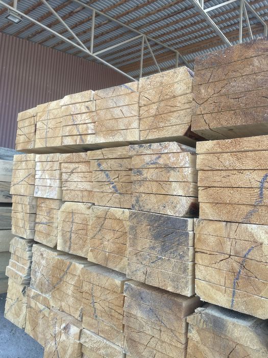 Арзан ағаш Атырау