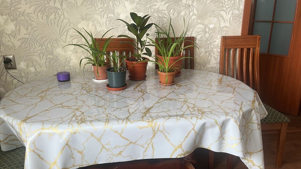 Продам гостевой стол 3 метров