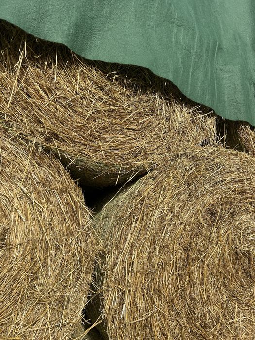 Слама за животни