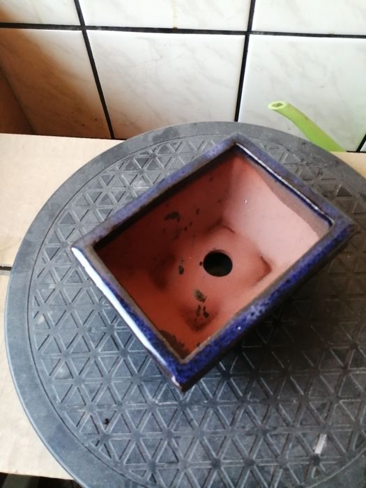 Бонсай саксии-среден и малък размер