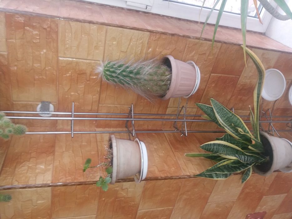 Подставки для цветов