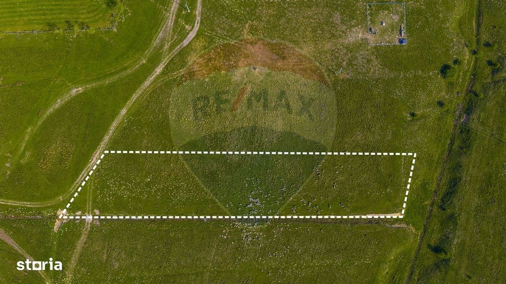 Teren 1ha, extravilan Rasnov / Agricultură sau fermă/ COMISION 0%