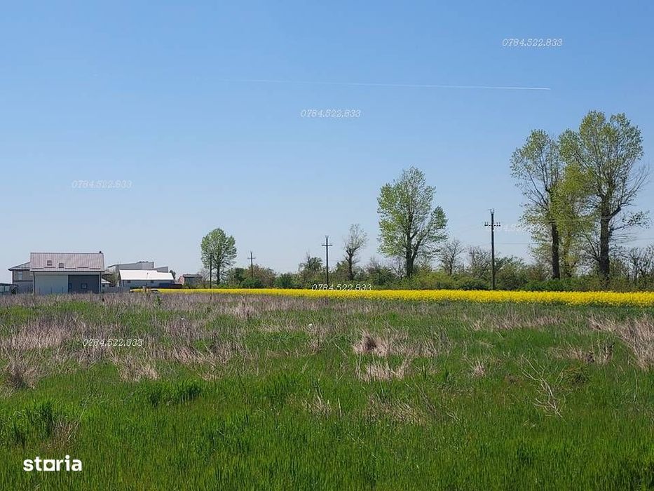 Teren 500 mp aproape de Bucuresti – Berceni Ilfov Construcție imediată