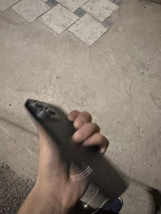 13pro     srochna