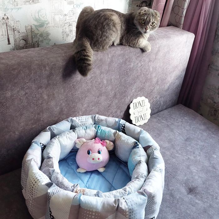 Продам лежанку для вашего питомца