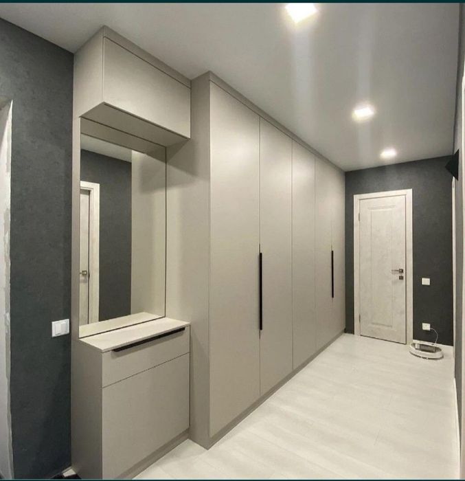 Шкафы купе прихожей кухни