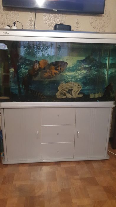 Аквариум домашний
