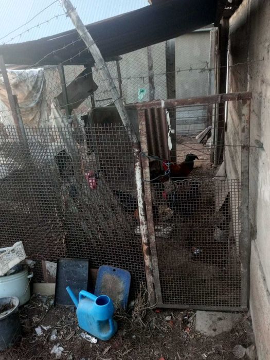 Подаётся дом (5 комнат)