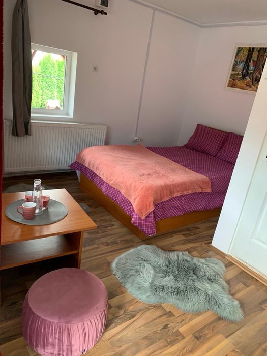 Casa si bar de vanzare