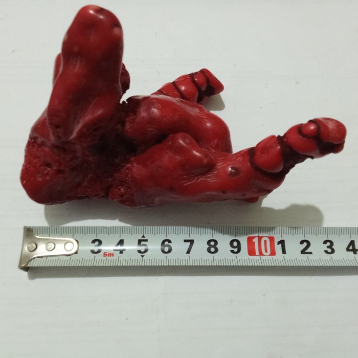 Коралл натуральный вес 854г