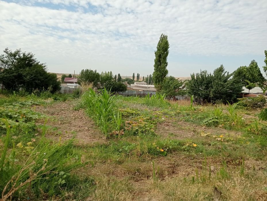 Uchaska sro'chna sotiladi