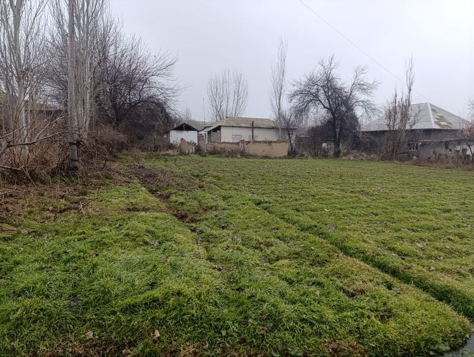 Toshkent vloyati yuqori chirchiqtumani  jambul