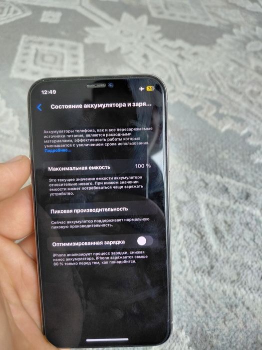 iPhone X 256/100%