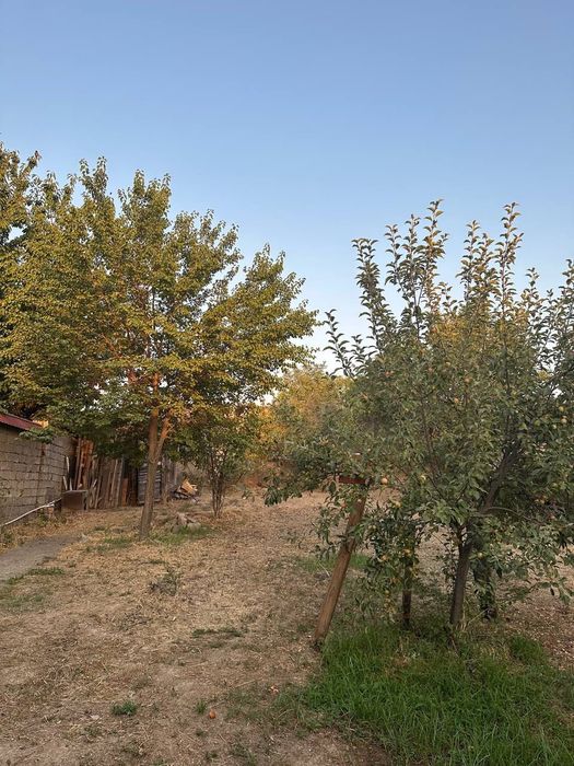 Дача Паркентский район (Навбахор)