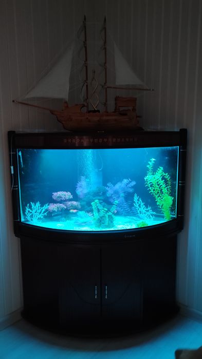 Аквариум угловой