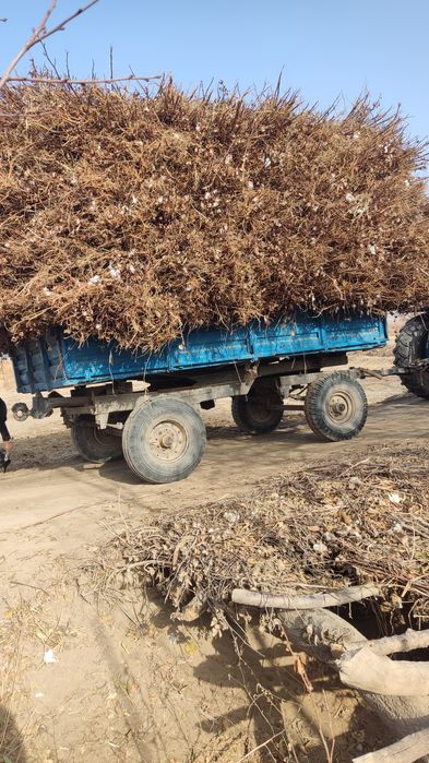 Poyo dastavkasi bilan