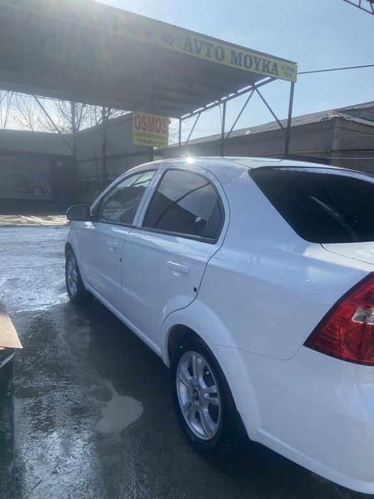 Мошина идеалный