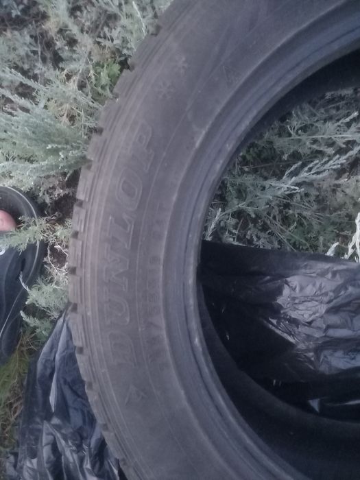 Автошино и диски