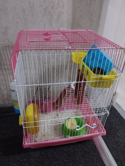 Продам хомяков с клеткой