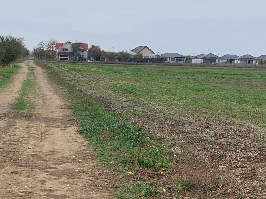 Teren de casa Sabareni linga padure 10 minute pina in Bucuresti