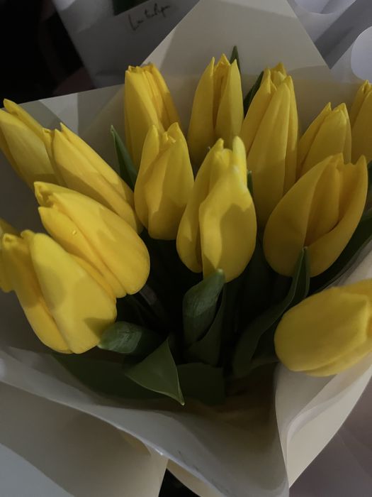 Подарок к 8Марта, тюльпаны бесплатно. Доставка