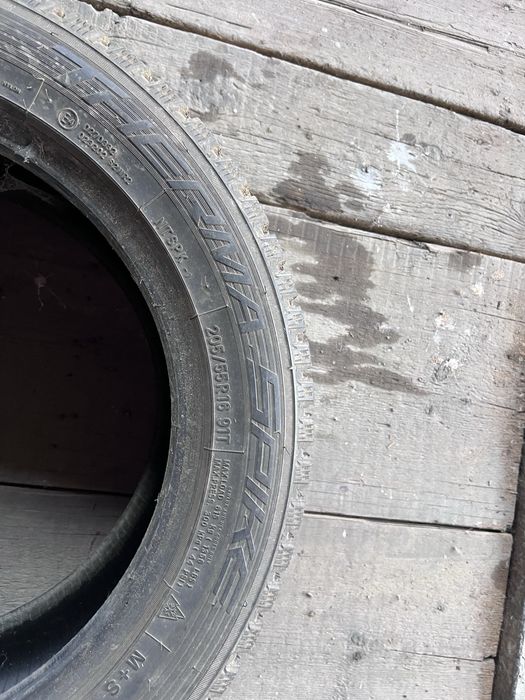 Шина зимняя 1 балон