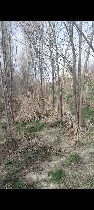 QORA TOL sotuvga chiqdi oladiganlar aloqaga chiqilar  ‼️