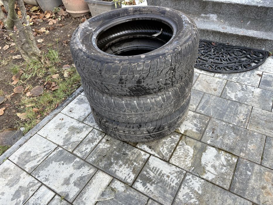 Vand Anvelope de iarna fulda