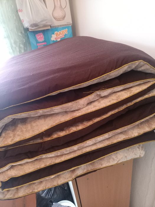 Продаются курпе   2 штуки