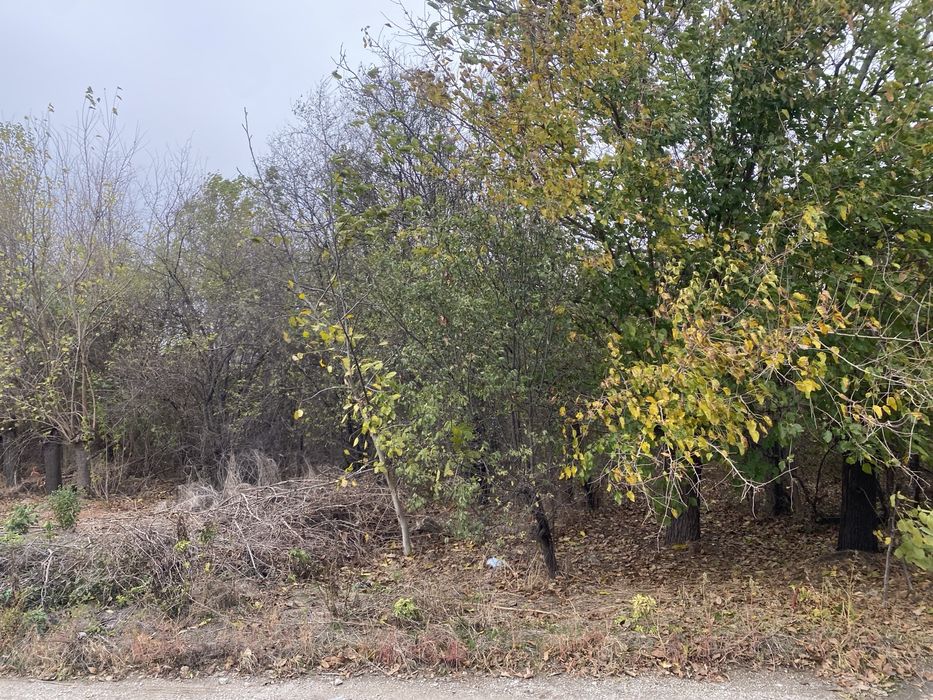 Продава се Къща в с. Самоводене, Област Велико Търново - 100 кв.м за 77 €/кв.м - Снимка #14