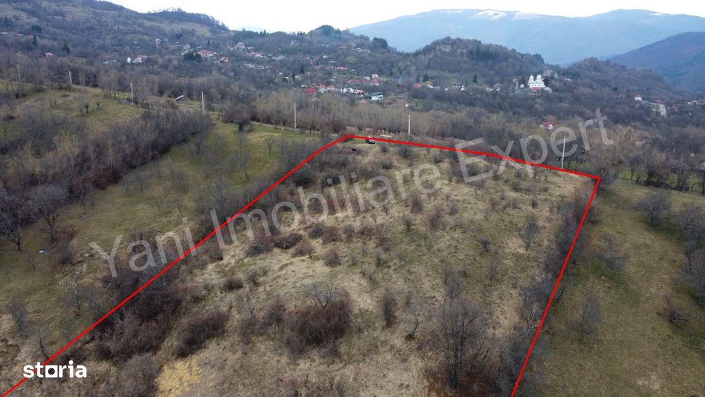 Teren de vânzare în comuna Nucșoara, județ Argeș.